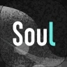 soul无限金币优享版